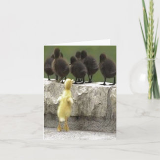 Cartes Pour Fêtes Annuelles Canard