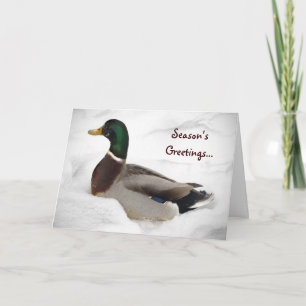 Cartes Pour Fêtes Annuelles Canard dans le Joyeuses Fêtes de neige