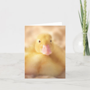 Cartes Pour Fêtes Annuelles Canard Jaune Fuzzy Bébé de Pâques Canard