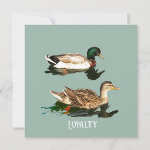 Cartes Pour Fêtes Annuelles Canards colverts