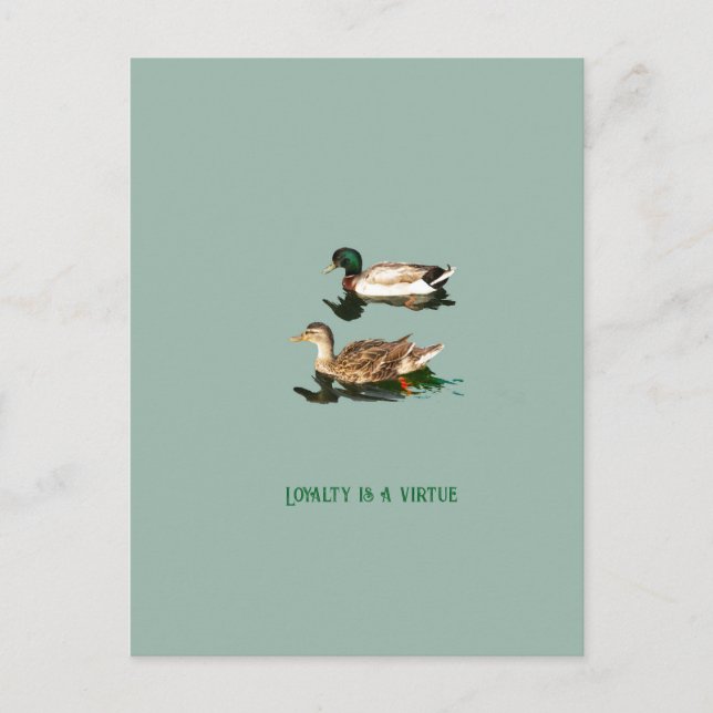 Cartes Pour Fêtes Annuelles Canards colverts (Devant)