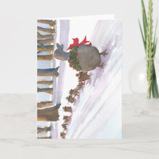 Cartes Pour Fêtes Annuelles canards communs à boston pendant les vacances d'hi