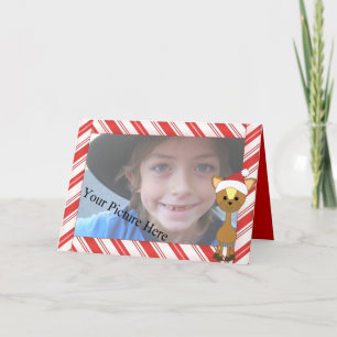 Cartes Pour Fêtes Annuelles Candy-Cane Wayne Deer