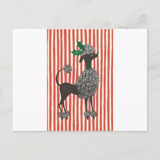Cartes Pour Fêtes Annuelles Caniche de Noël (Devant)