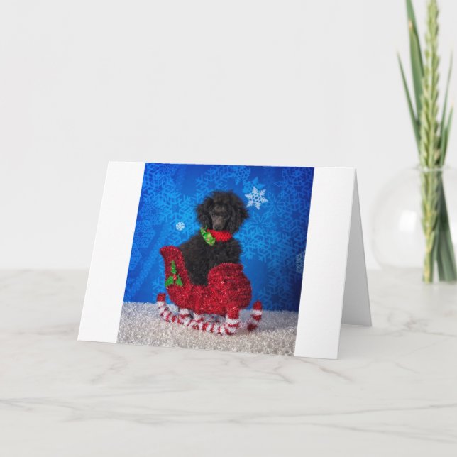 Cartes Pour Fêtes Annuelles Caniche de Noël (Devant)