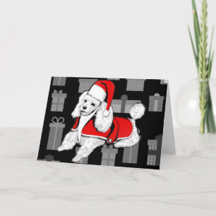 Cartes Pour Fêtes Annuelles canicule de xmas santa claus