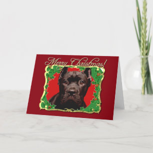 Cartes Pour Fêtes Annuelles Canne de Noël Corso chien