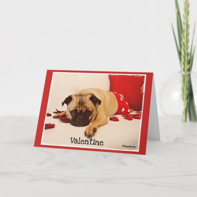 Cartes Pour Fêtes Annuelles Cannelure de carlin (Devant)