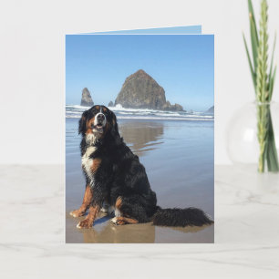 Cartes Pour Fêtes Annuelles Cannon Beach bernois Mountain Dog