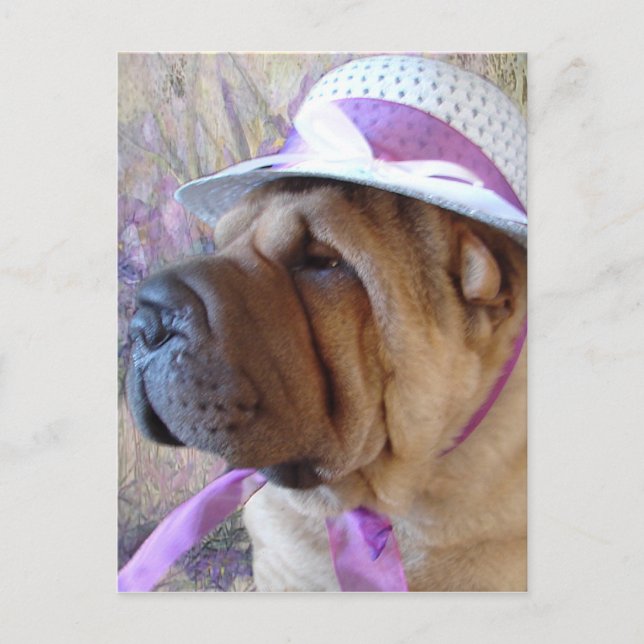 Cartes Pour Fêtes Annuelles Capot de Pâques (Devant)