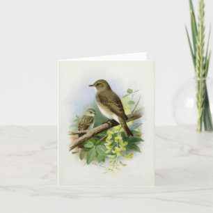 Cartes Pour Fêtes Annuelles Capteurs de vol, Illustration artistique