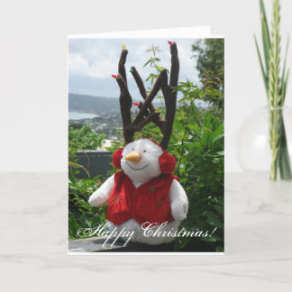 Cartes Pour Fêtes Annuelles Caractère de Noël