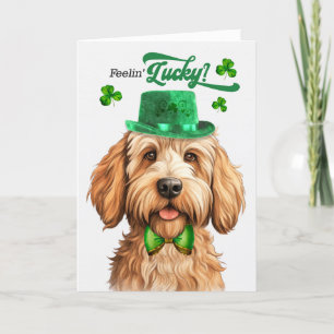 Cartes Pour Fêtes Annuelles Caramel Labradoodle Feelin' Lucky St Patrick's Day