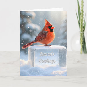 Cartes Pour Fêtes Annuelles Cardinal Avec Bonnes Fêtes Sur La Glace