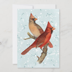 Cartes Pour Fêtes Annuelles Cardinal Bird Branch Neige hiver Noël Turquoise