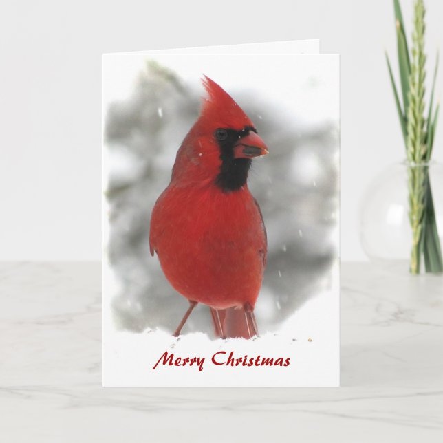 Cartes Pour Fêtes Annuelles Cardinal Christmas Cards (Devant)