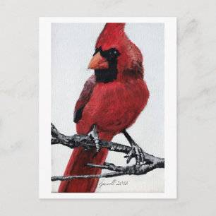 Cartes Pour Fêtes Annuelles Cardinal du Nord