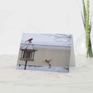 Cartes Pour Fêtes Annuelles Cardinal en vol