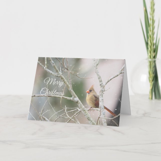 Cartes Pour Fêtes Annuelles Cardinal féminin sur branches hivernales Personnal (Devant)