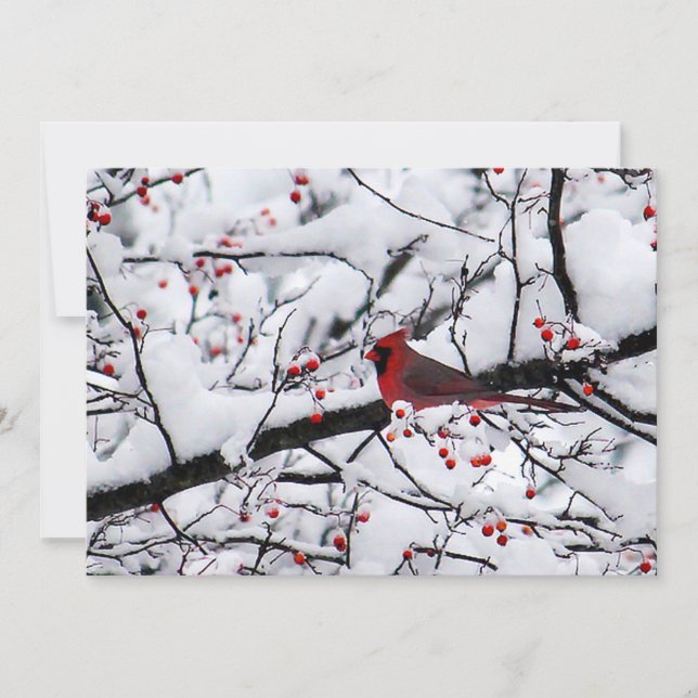 Cartes Pour Fêtes Annuelles Cardinal Rouge Arbre à Neige Photo Appartement de  (Devant)