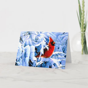 Cartes Pour Fêtes Annuelles Cardinal rouge dans la neige d'hiver