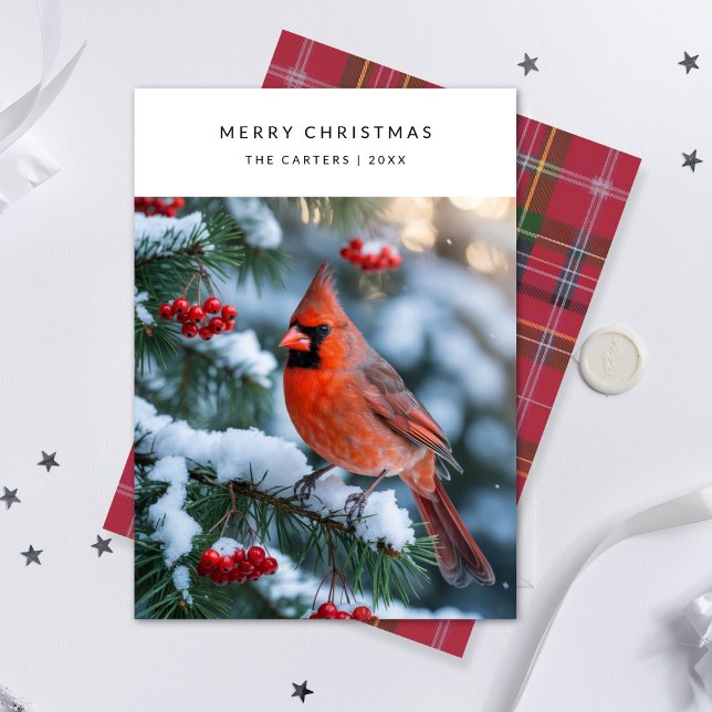 Cartes Pour Fêtes Annuelles Cardinal Rouge Joyeux Noël Bird Photo Holi (Créateur téléchargé)