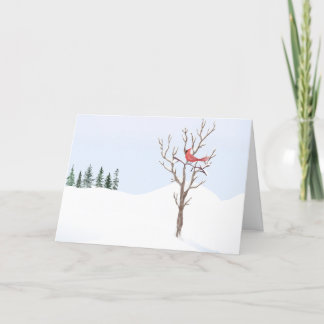 Cartes Pour Fêtes Annuelles Cardinal Rouge Oiseau Paix Sur Terre Famille