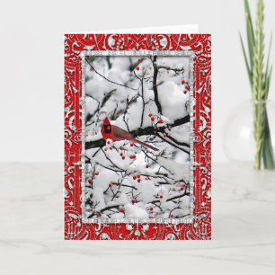 Cartes Pour Fêtes Annuelles Cardinal Snow Tree Photo Christmas