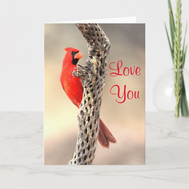 Cartes Pour Fêtes Annuelles Cardinal vous aime (Devant)