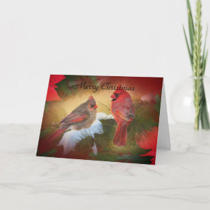 Cartes Pour Fêtes Annuelles Cardinaux de Noël