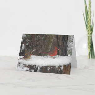 Cartes Pour Fêtes Annuelles Cardinaux neigeux et Towhee