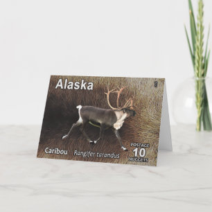 Cartes Pour Fêtes Annuelles Caribou (rennes) - Postage de l'Alaska