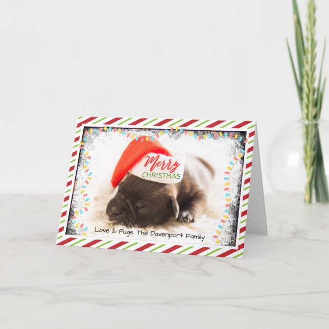 Cartes Pour Fêtes Annuelles Carlin de Noël à Santa Hat avec lumières de Noël (Devant)