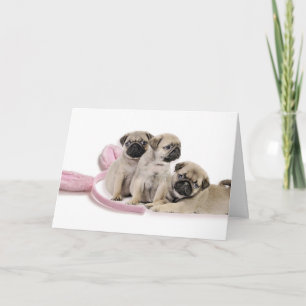 Cartes Pour Fêtes Annuelles Carlin Puppy Paster Card