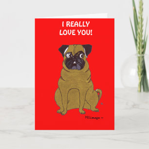Cartes Pour Fêtes Annuelles Carlin Valentine's Day Greeting Card