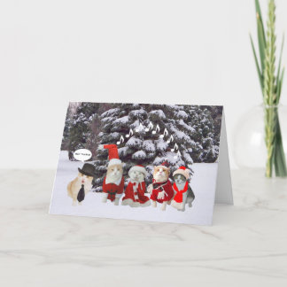 Cartes Pour Fêtes Annuelles Caroleurs de chat amusants
