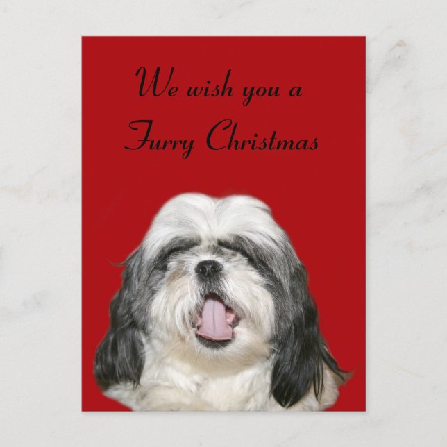 Cartes Pour Fêtes Annuelles Caroling Christmas Shih Tzu (Devant)