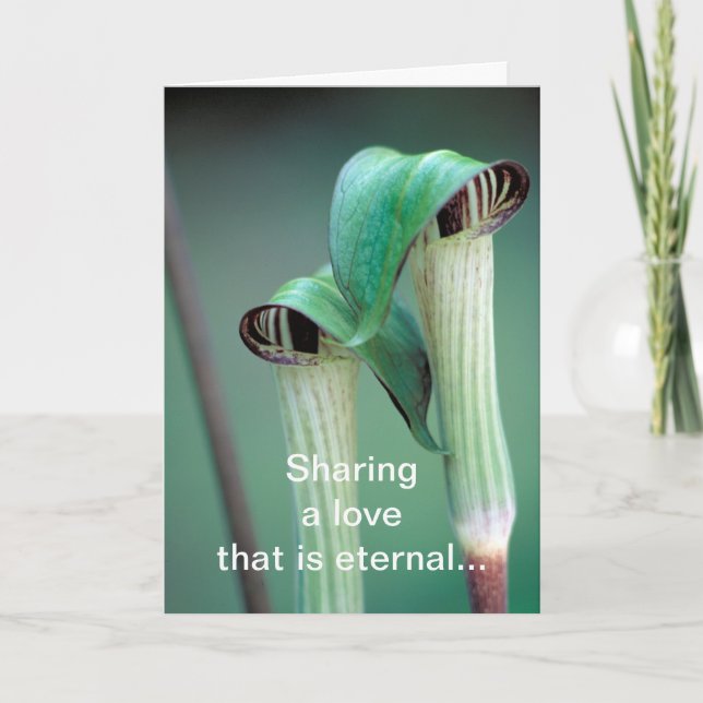 Cartes Pour Fêtes Annuelles Carte/Jack-in-the-pulpit (Devant)