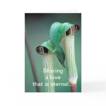 Carte/Jack-in-the-pulpit