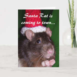 Cartes Pour Fêtes Annuelles Carte: père Noël Rat