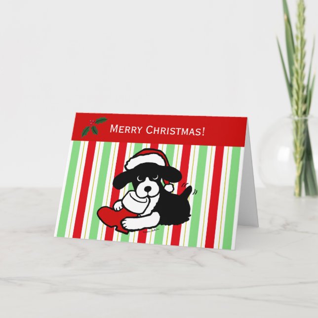 Cartes Pour Fêtes Annuelles Carton de Noël espagnol Springer anglais (Devant)