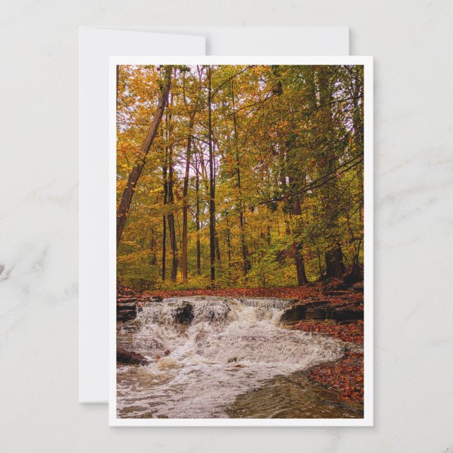 Cartes Pour Fêtes Annuelles Cascade d'automne (Devant)