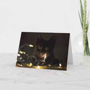 Cartes Pour Fêtes Annuelles Cash