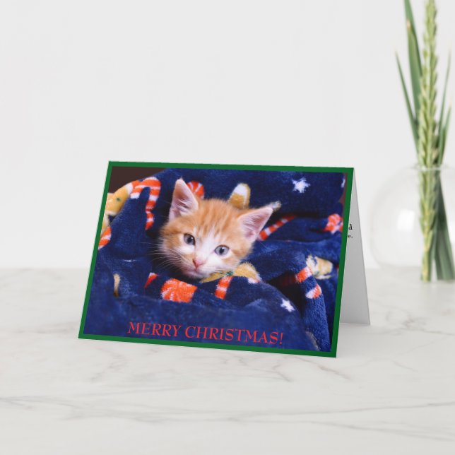 Cartes Pour Fêtes Annuelles Casquette bleue Joyeux Noël Orange Kitten (Devant)