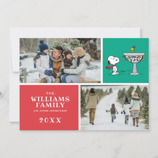 Cartes Pour Fêtes Annuelles Casse-Noisette | Baignoire pour oiseaux gelée de S (Devant)