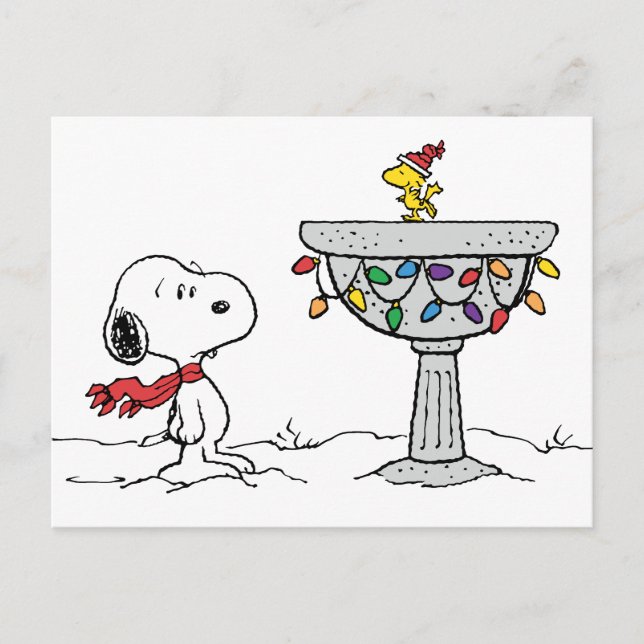 Cartes Pour Fêtes Annuelles Casse-noisette | Bain d'oiseaux gelé Snoopy & Wood (Devant)
