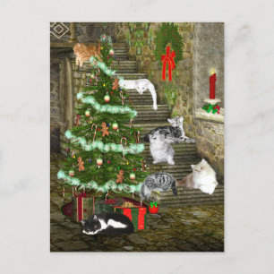 Cartes Pour Fêtes Annuelles Cat Christmas