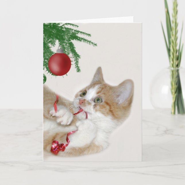 Cartes Pour Fêtes Annuelles Cat Christmas (Devant)
