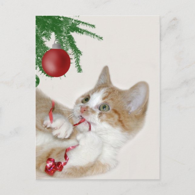 Cartes Pour Fêtes Annuelles Cat Christmas (Devant)