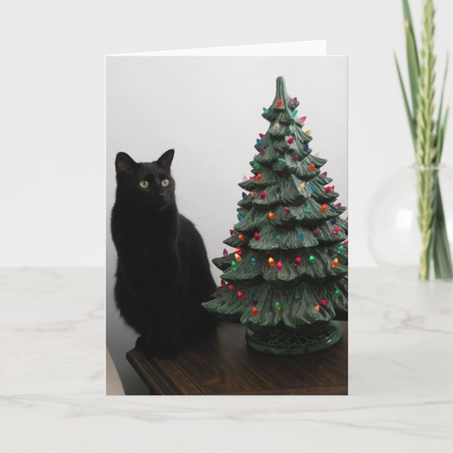 Cartes Pour Fêtes Annuelles Cat de Christmas (Devant)